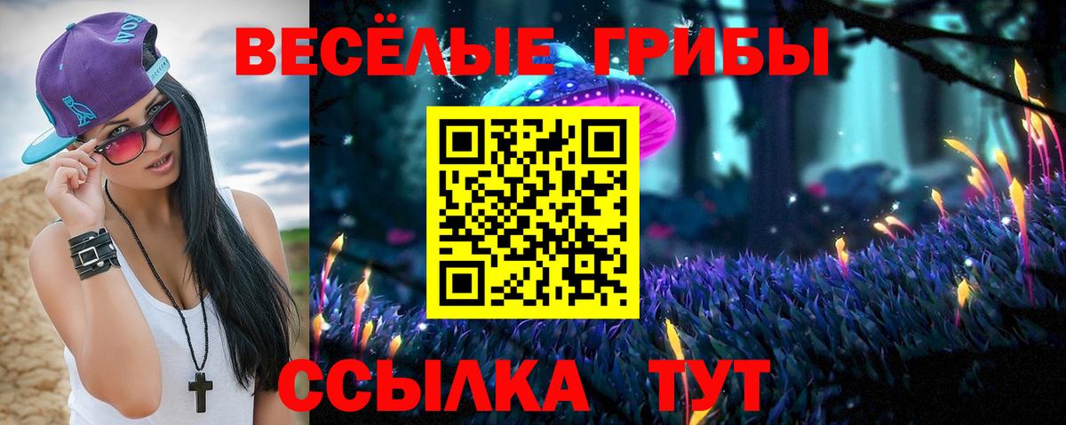 Псилоцибиновые грибы GOLDEN TEACHER Рославль