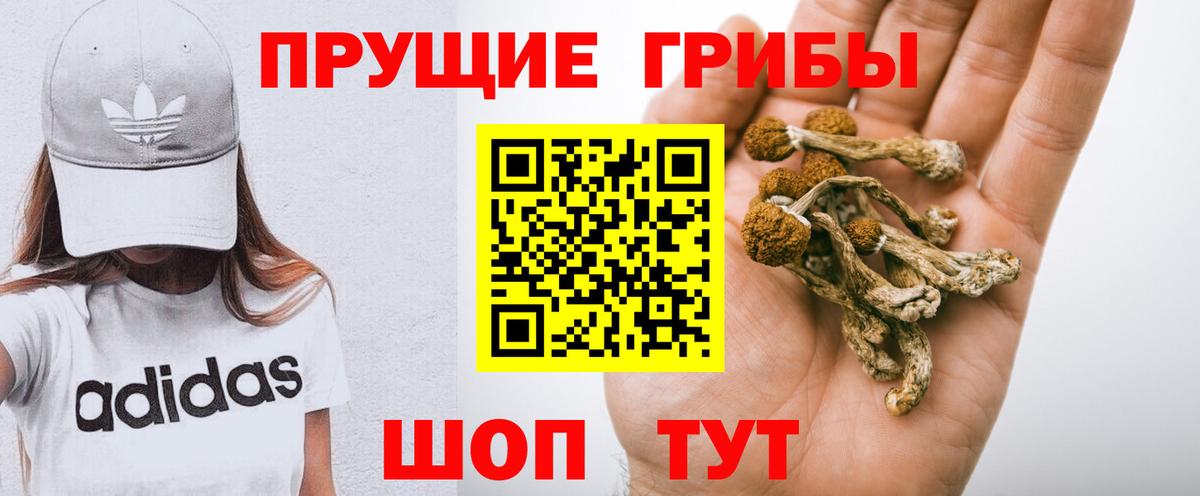 Галлюциногенные грибы Magic Shrooms  Вход с VPN  Псилоцибиновые грибы мицелий  Рославль 